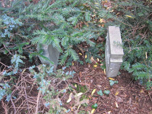 kleine bank auf dem harburger friedhof