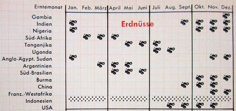 Erdnuss-Produktionsländer