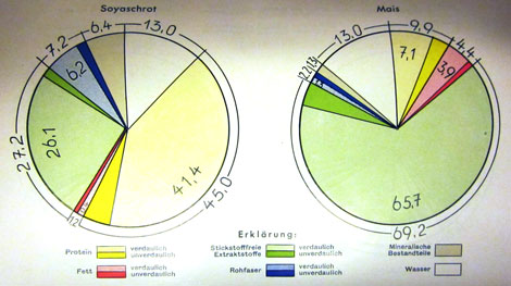 Soja und Mais - Zusammensetzung